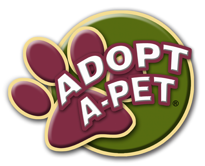 Adopt A Dog Pictures