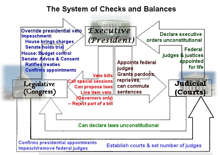 Blank Checks And Balances Chart