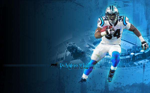 Carolina Panthers Wallpaper Hd