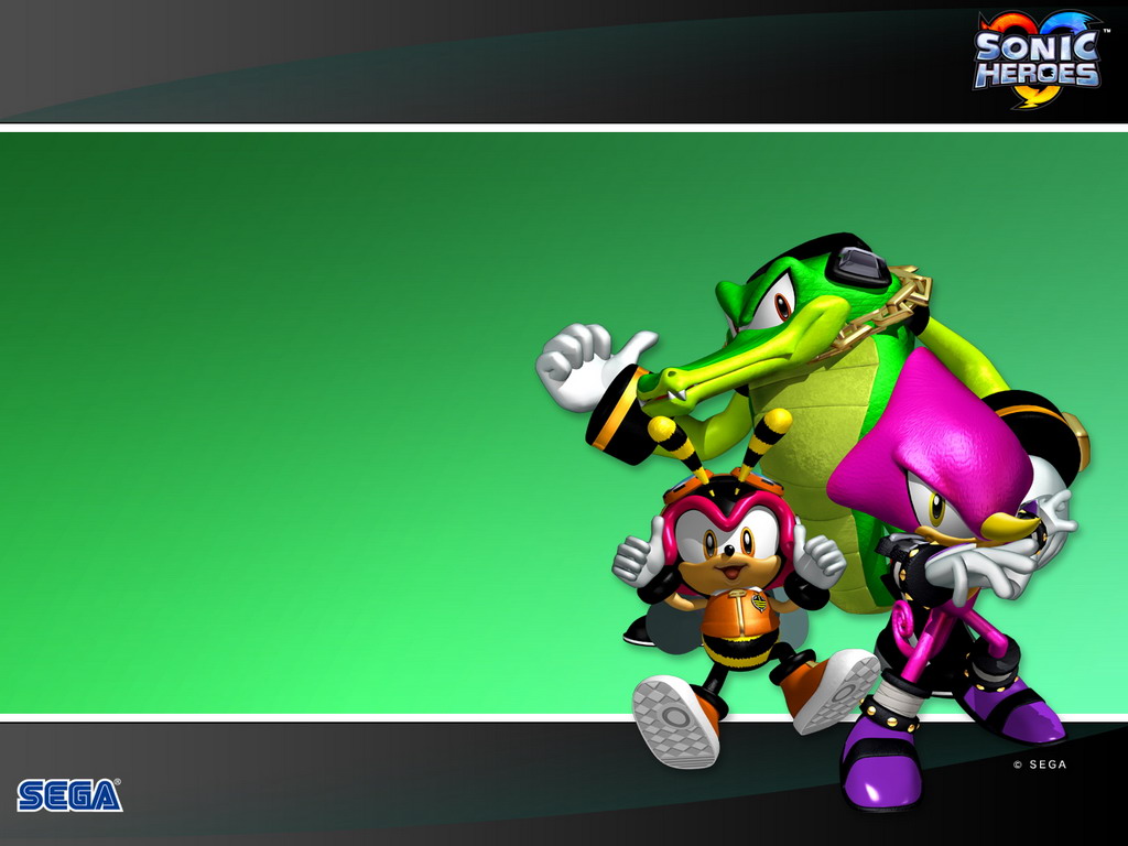 Chaotix Team