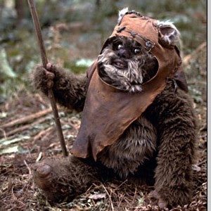 Ewok Names And Pictures