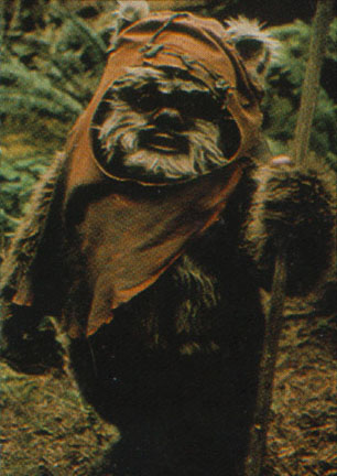 Ewok Names And Pictures