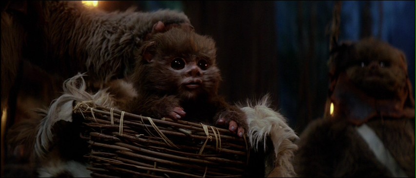 Ewok Names And Pictures