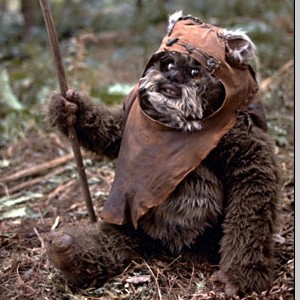 Ewok Names Female