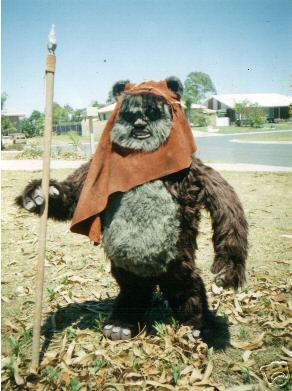 Ewok Names For Cats