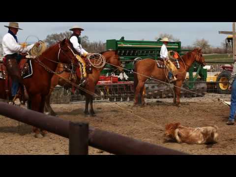 Faith Calf Roping Saddles