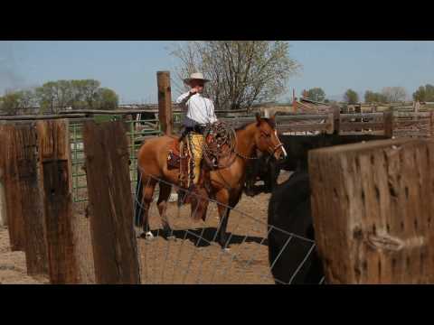 Faith Calf Roping Saddles