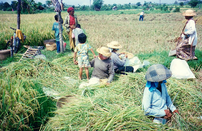 Filipino Culture