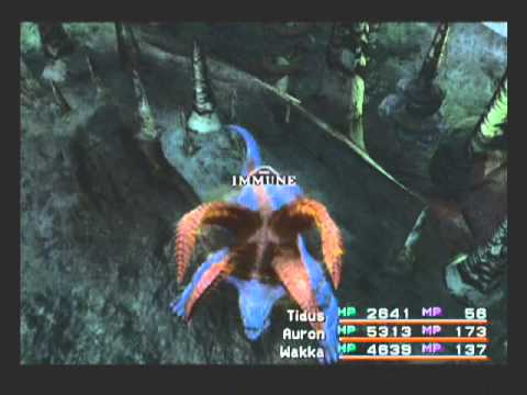 Final Fantasy X Mount Gagazet Walkthrough