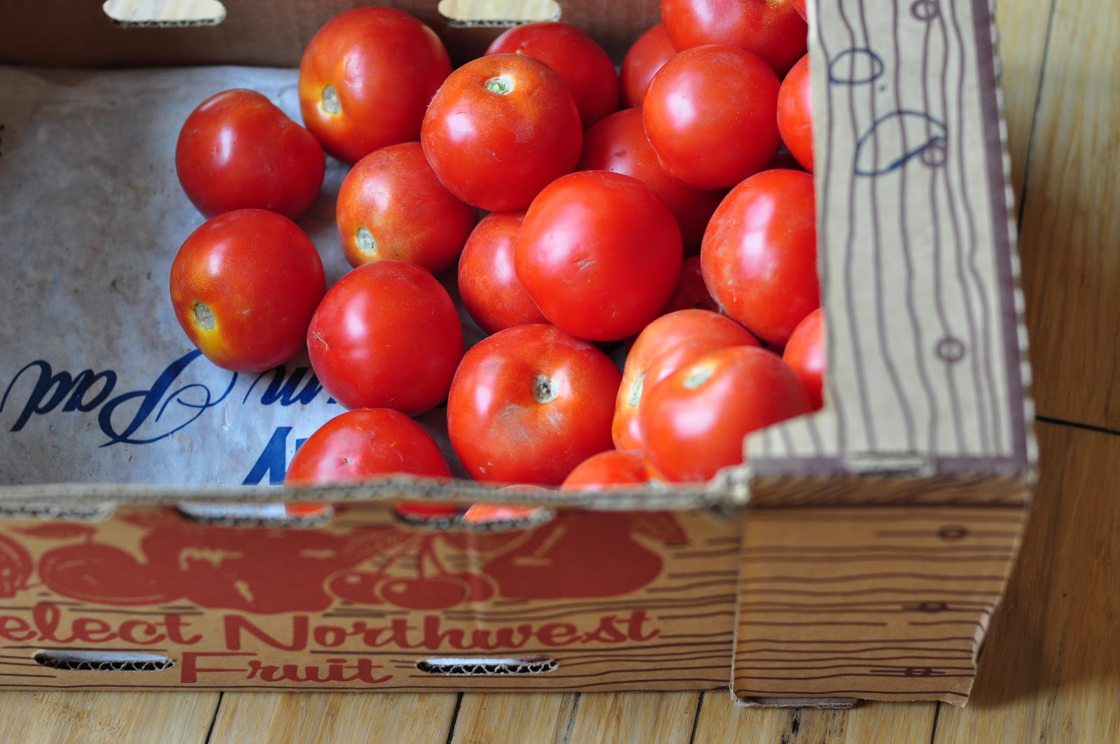 Fresh Tomato Sauce Recipe To Freeze