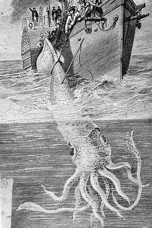 Giant Squid Attack