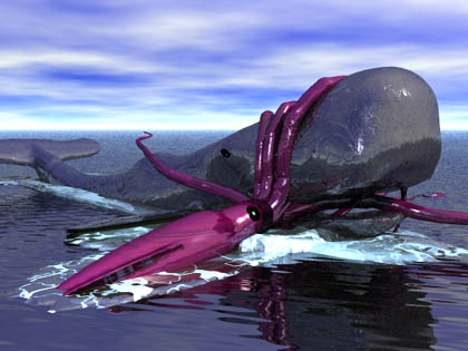 Giant Squid Attacking Sperm Whale