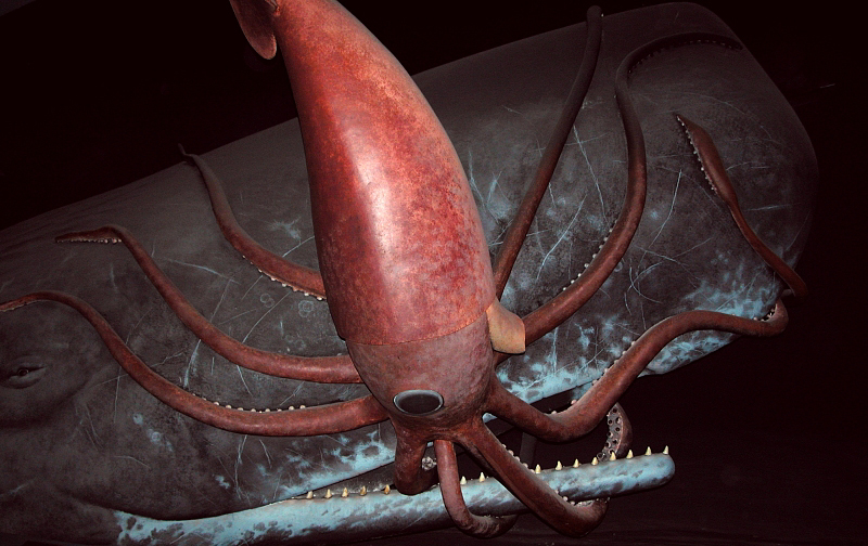 Giant Squid Attacking Sperm Whale