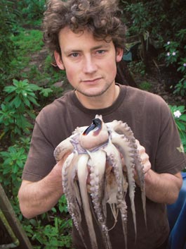 Giant Squid Beak