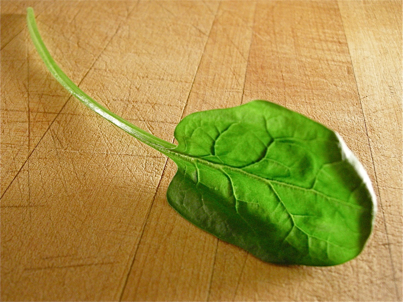 Greek Spinach Pastry