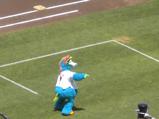 Hiroshima Carp Jersey