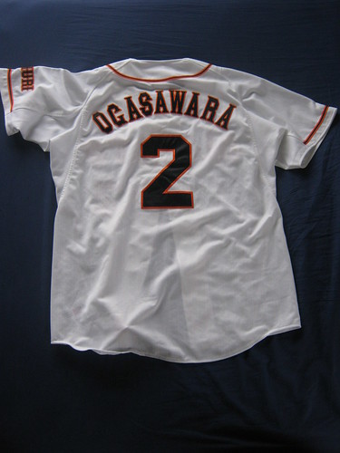 Hiroshima Carp Jersey