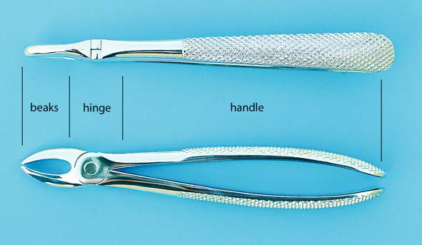 Maxillary Extraction Forceps