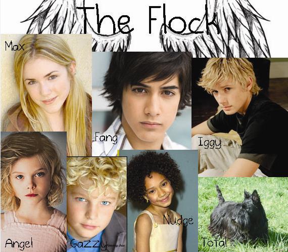 Maximum Ride Characters Max