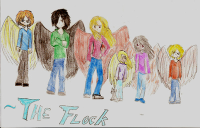 Maximum Ride Characters Nudge