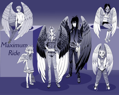 Maximum Ride Characters Together