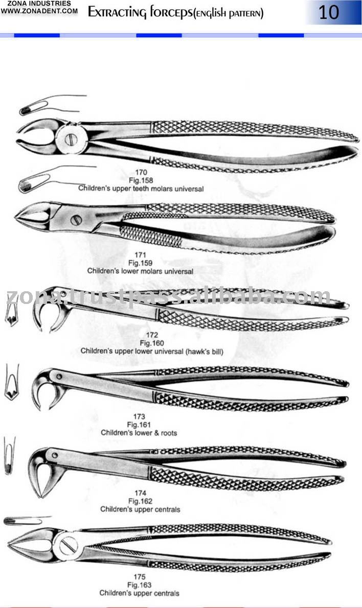 Names Of Dental Extraction Forceps