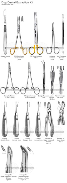 Names Of Dental Extraction Forceps