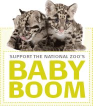 Nationalzoo.si.edu