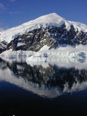 Neko Harbor Antarctica