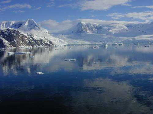 Neko Harbor Antarctica