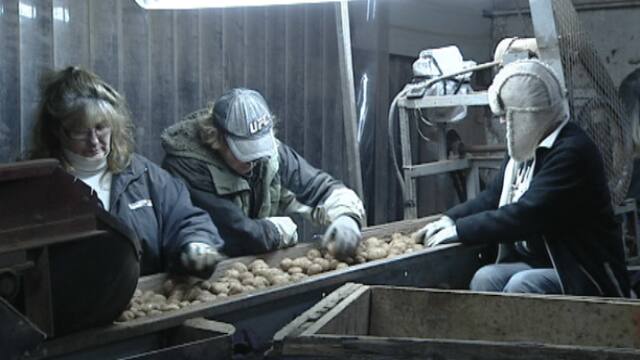 Pei Potato Marketing Board