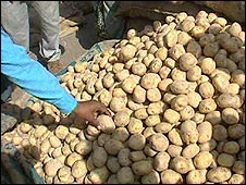 Potato Market