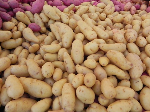 Potato Market Report