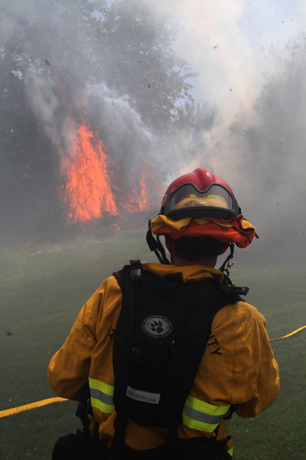 Small Brush Fire