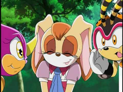 Team Chaotix Sonic X