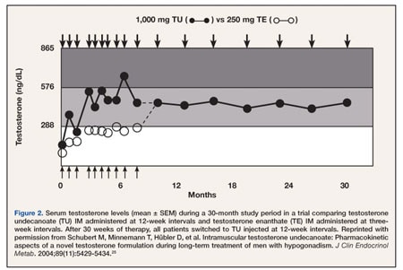 Testosterone Cypionate Half Life Graph