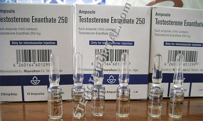 Testosterone Enanthate Results