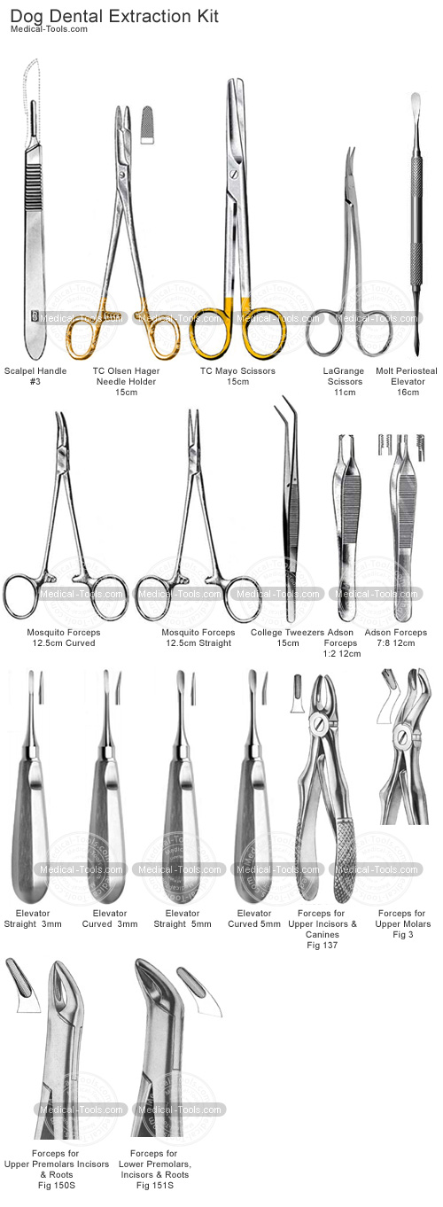 Tooth Extraction Tools For Sale