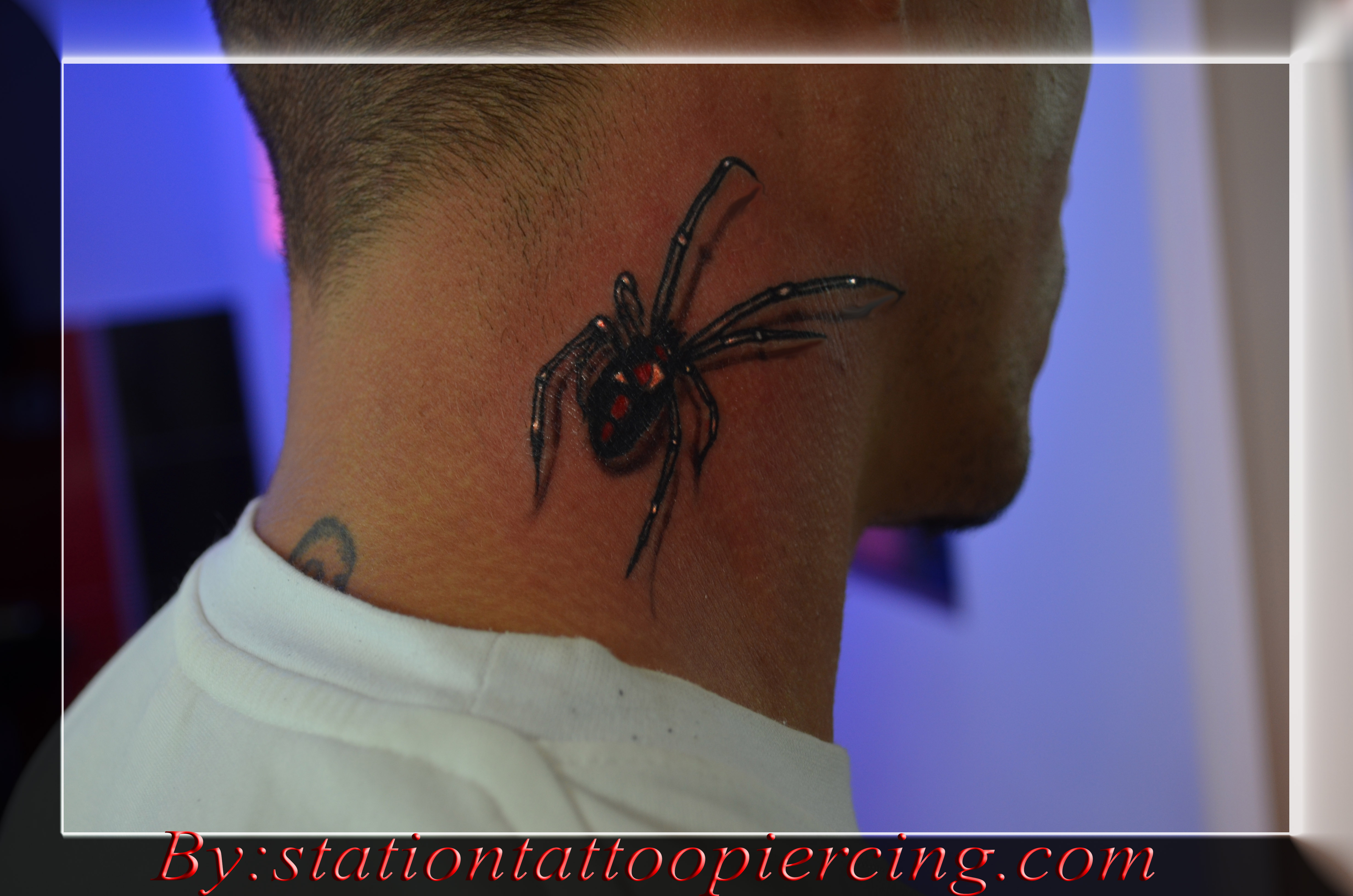 3d Black Widow Spider Tattoo