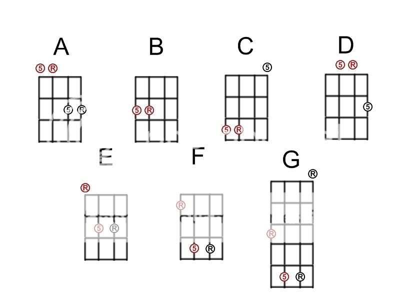 5 String Bass Guitar Notes Chart