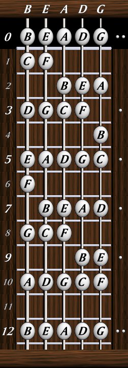 5 String Bass Guitar Notes Chart