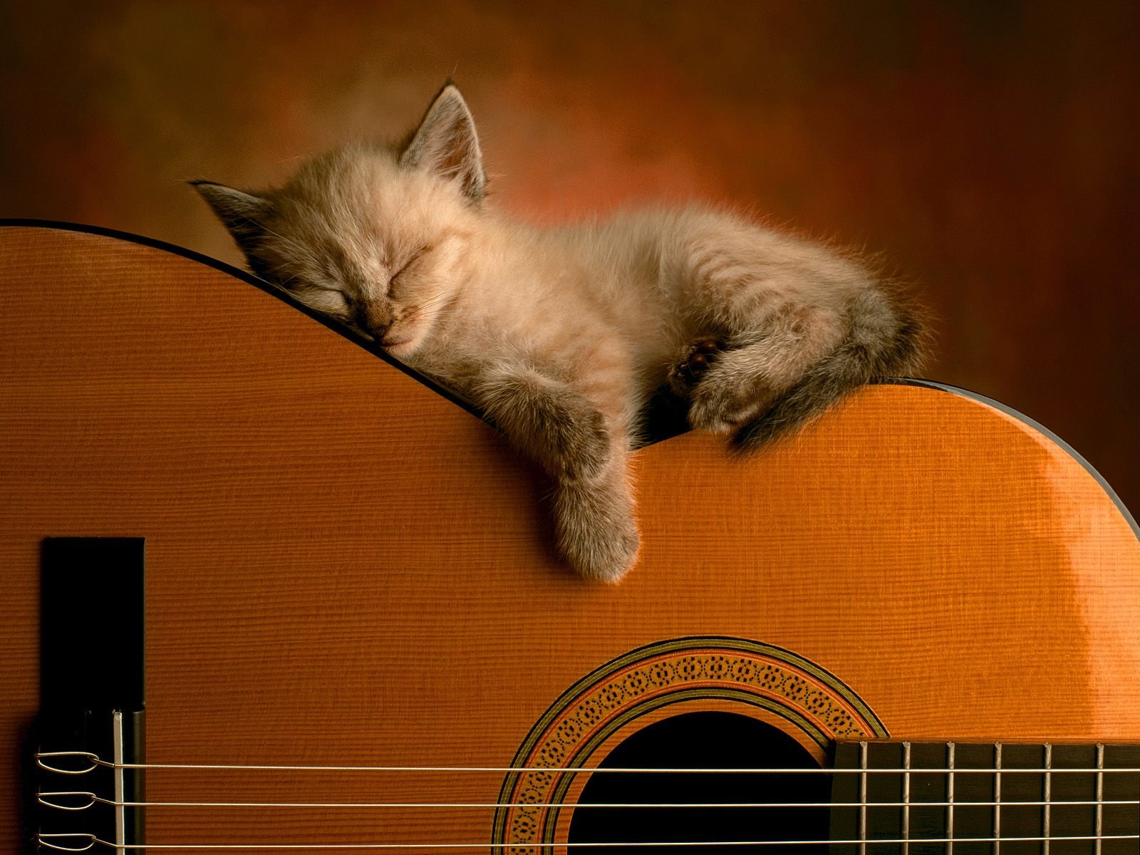 Acoustic Guitar Wallpaper Hd