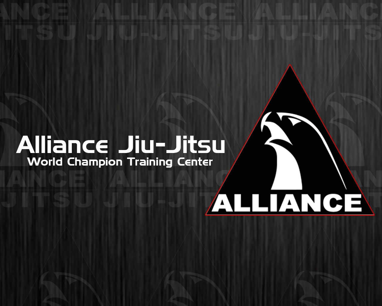 Alliance Jiu Jitsu Wallpaper