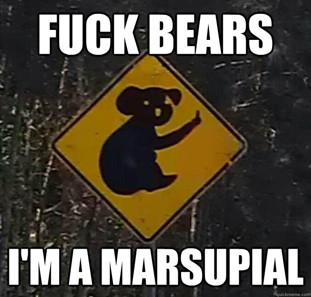 Angry Koala Bear Meme