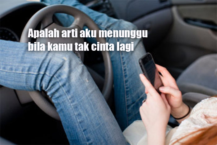 Apalah Arti Cinta