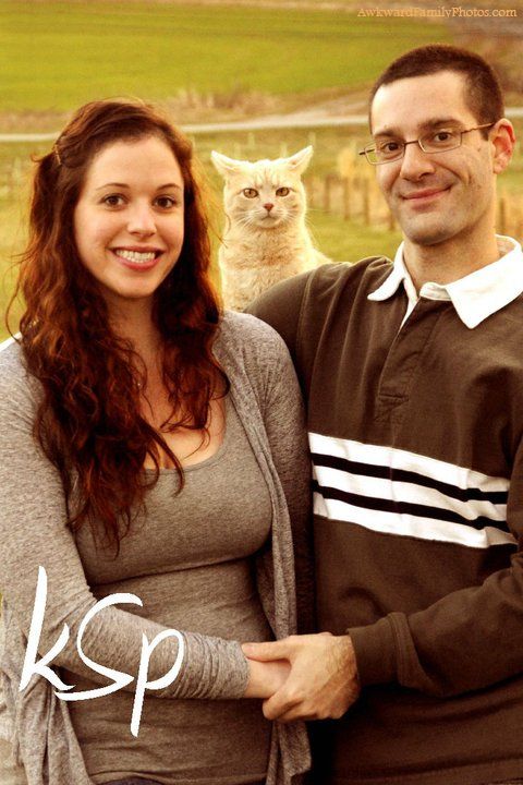 Awkward Family Photos Cats
