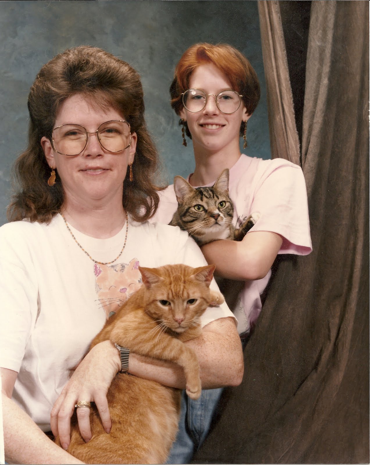 Awkward Family Photos Cats