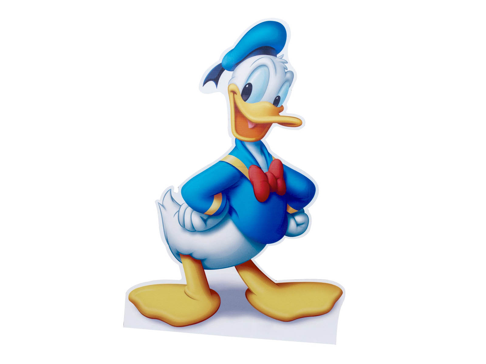 Baby Donald Duck Wallpaper