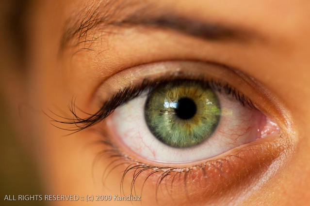 Beautiful Green Eyes Close Up