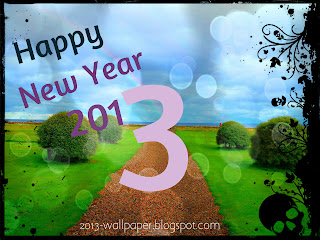 Beautiful Wallpaper 2013 New Year